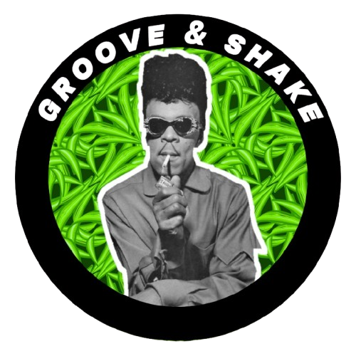 Photo de Groove & Shake N°1