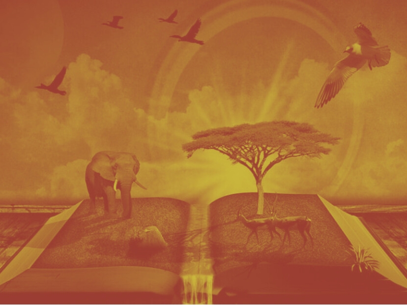 Photo de N°1 - Hors d’atteinte